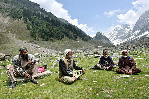 Tourist helpers